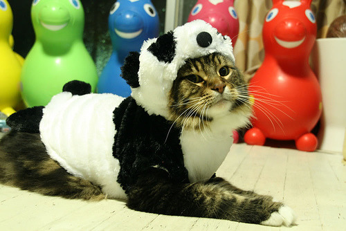 WHAT HAS SCIENCE DONE!?? D: