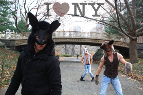 I <3 NY Central Park Hares - NYC 2010 - Alexander Guerra 