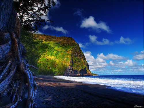 Waipio, Big Island, Hawaii©  paul (dex)