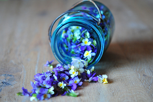 yuria: ★ discovered on imgfave.com (social image bookmarking)
