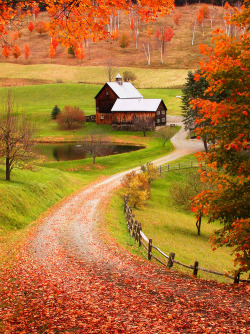 sunsurfer:  Sleepy Holly Farm, Woodstock, Vermont photo from Icabod Crane 