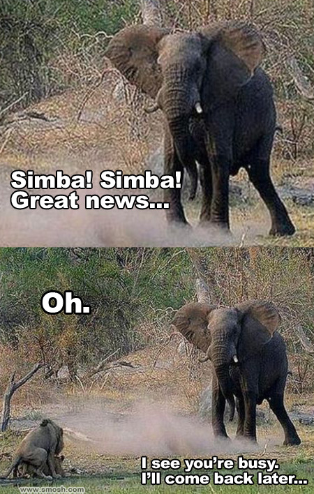 the-absolute-funniest-posts:  Follow this blog, you’ll love it on your dashboard!