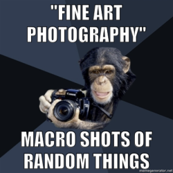 Fuck Yeah Photo Major Monkey