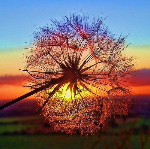 http://universemind.tumblr.com/post/5050876297