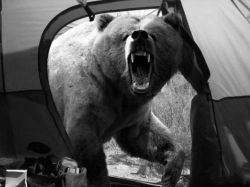 sistersleep:  tamburinaa: Michio Hoshino, a photographer known for his pictures of bears and other wildlife, was mauled to death by a brown bear on the Kamchatka Peninsula in eastern Russia. He was in his mid-40′s and lived in Fairbanks, Alaska. This was