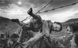 agdavenport:  Kosovar refugee camp, Albania, 1995 - passing the baby in to his mother 