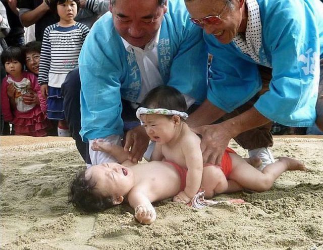 Baby sumos!