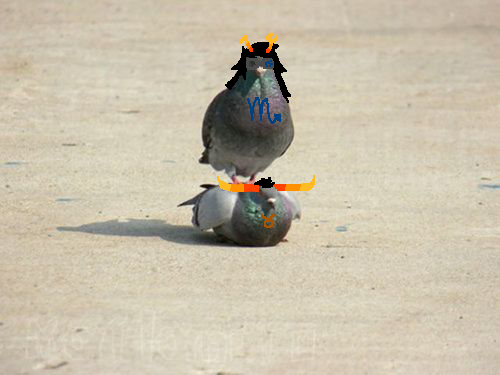 sweetelectro:  tuzi:  hamstock:  welp  wat  dfgsf 