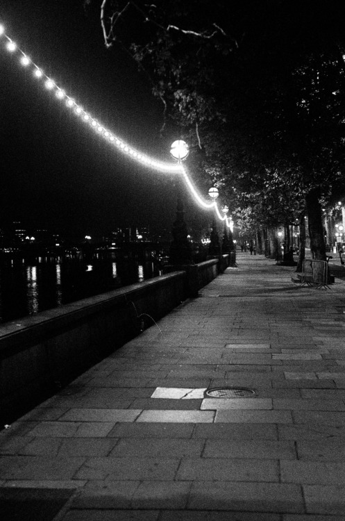bagnostian:  the embankment at night. london, adult photos