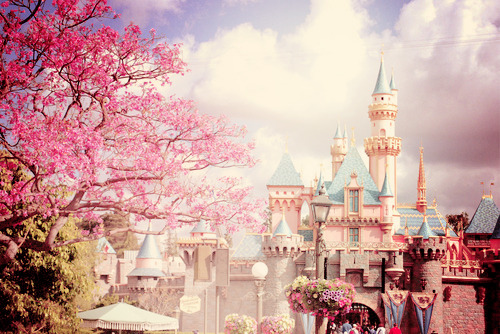 Pictures and Quotes
