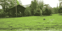 toptumbles:  Mowing the lawn 