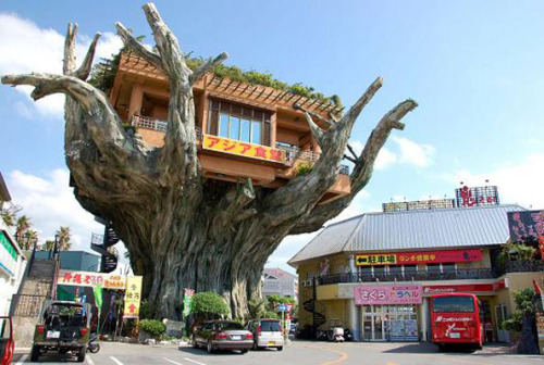 treehouse restaurant.