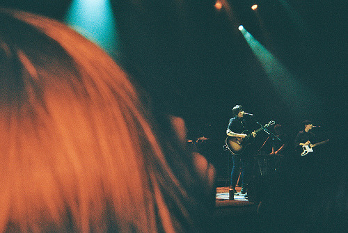 high-violets:  (by laurenmarek) 