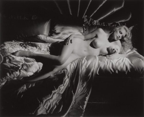 Porn Pics niven-zen:Shannon Tweed by George Hurrell