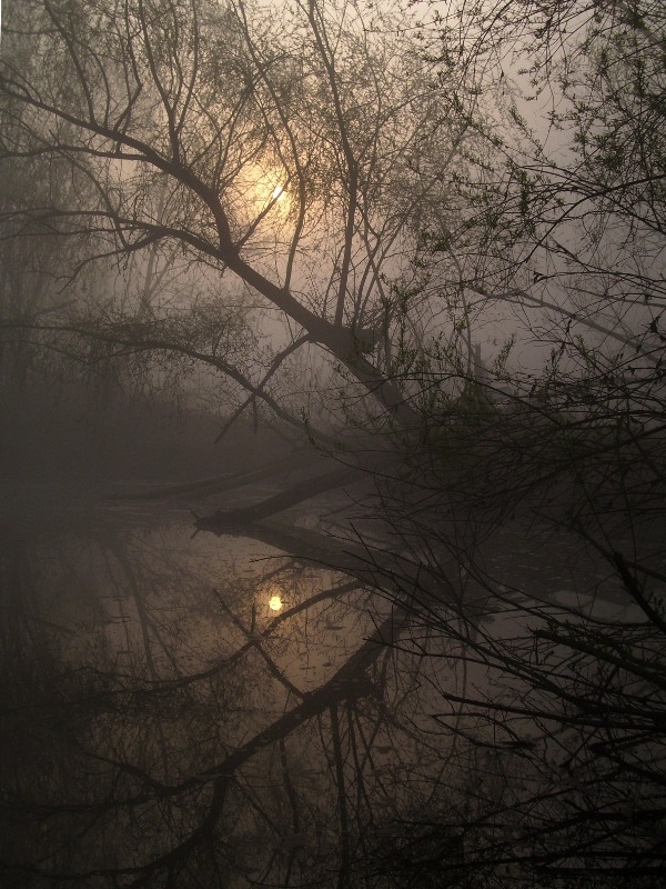 r-u-n-t:  reminds me of the song enchanted 