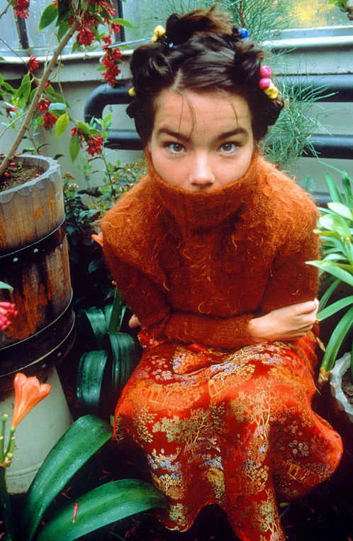 moon-sylph:  spring1999:  björk photographed by stefan malzkorn (1994)   ⁎ ˚ * ☀