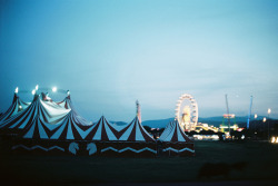 definitelydope:  carnival (by ElisabelleB) 