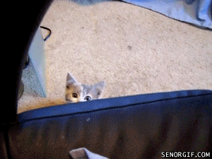 When you hear your name in a conversation.