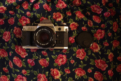 I got my canon ae-1 today! no words rn except the ones i am typing