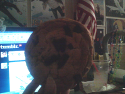 uhoh-beek:  seychelles-:  Guys look at this huge ass cookie How do I eat it     Awwww here you go pretend the pocky are cookies okok
