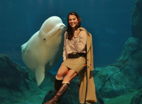 bitchcalmyotitz:  thisispaul:  justadreamer999:   Dutchess of Cambridge Catherine & the Prince OF WHALES.   actually, that is dolphin.  actually no that’s not….it’s a beluga whale…look ‘em up! 