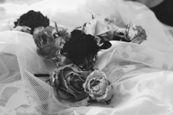 ☾ Roseblood ☽