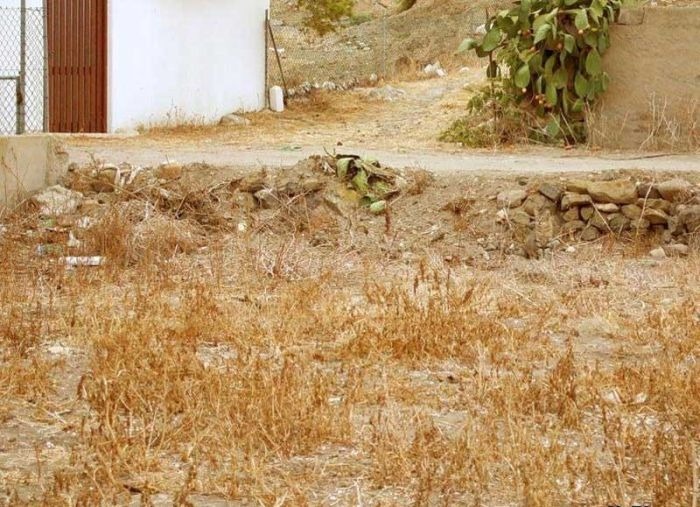 thaisqueiroozdorgas:   ENCONTRE O GATO  Se não encontrar, reblogue vá até sua