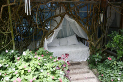 sunsurfer:  Garden Bed, Marin, California