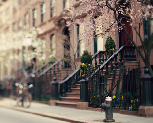 Mmm, New York in the Springtime?
From feelinlitfeelinlight