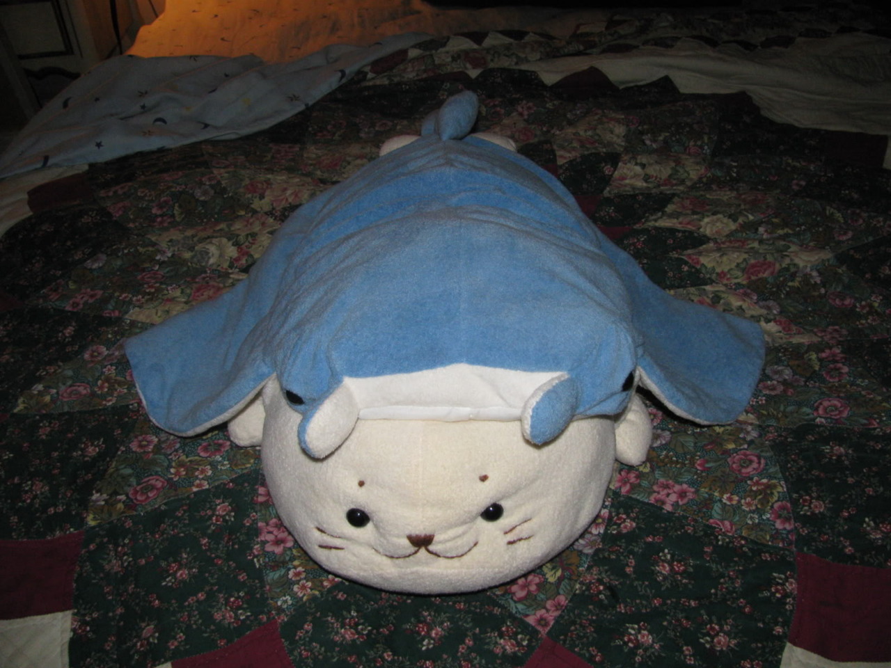 i also have this big guy. hes not a mamegoma. hes a sirotan and is dressed as a manta