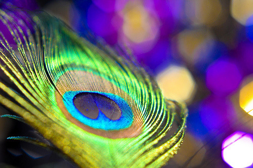 ~Moments of Awe~