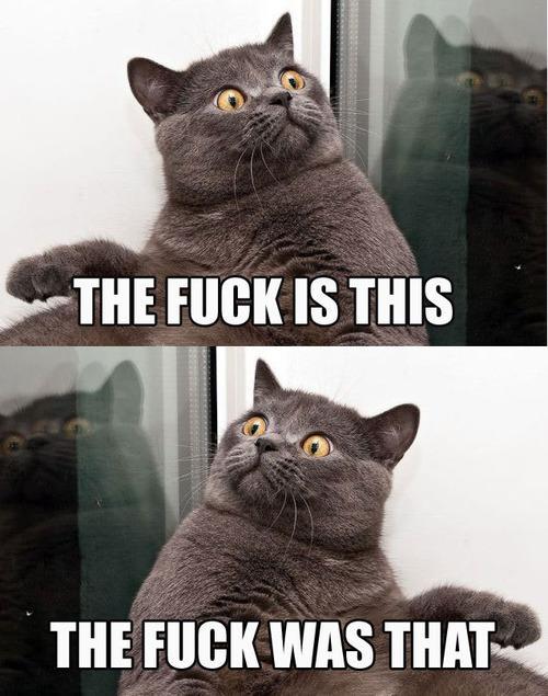 The Best of Tumblr Blog - 1000notes.com