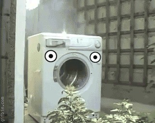 Washing machine gif http://www.gifbin.com/bin/082010/1281347217_final-thoughts.gif porn pictures