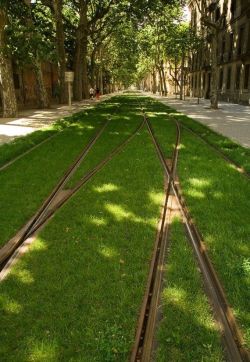 maxlikesit:  Grass-Lined Tram Tracks  