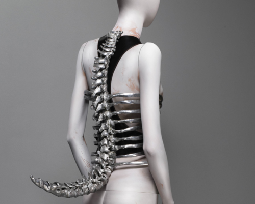 Alexander McQueen / Spine Corset