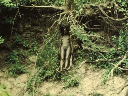 fuckyeahfeministartandliterature: Ana Mendieta, Tree of Life, 1979.