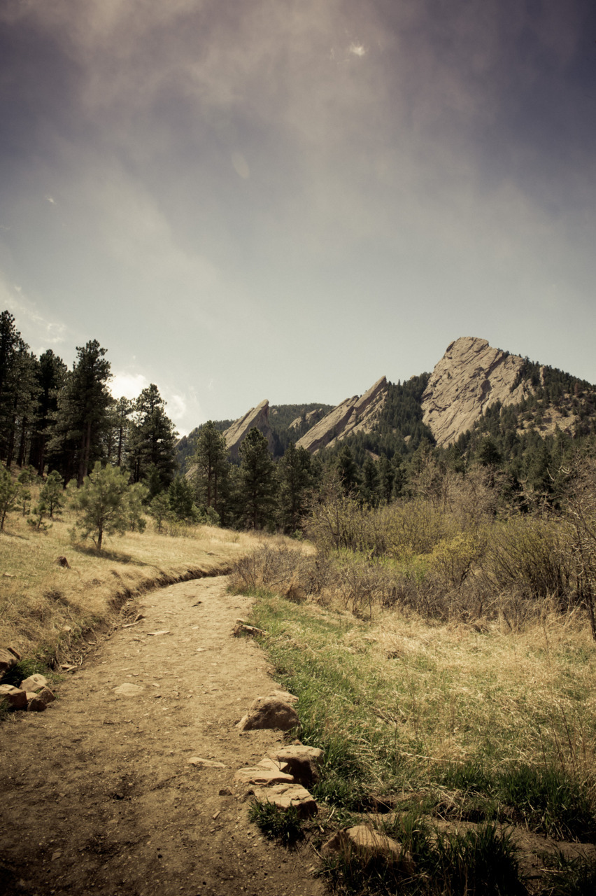 A lone mountain stretches upward in Chautauqua Park, Boulder, Colorado.
Photography by Greenseed Photography