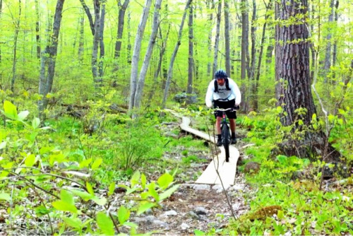 garyfisherglamourshots: Stew riding the planks thru the swamp in Deer Park