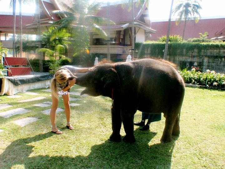 losec0ntrol:  me with an elephant.. no biggie. 