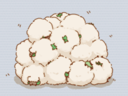 pikaballoons:  whimsicott is always best in multiples 