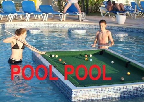 Funny Pictures