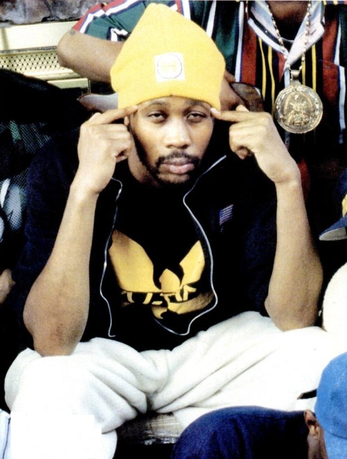 THE WORLD ACCORDING TO RZA