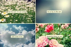every beautiful thing we can* see <3 Neutral