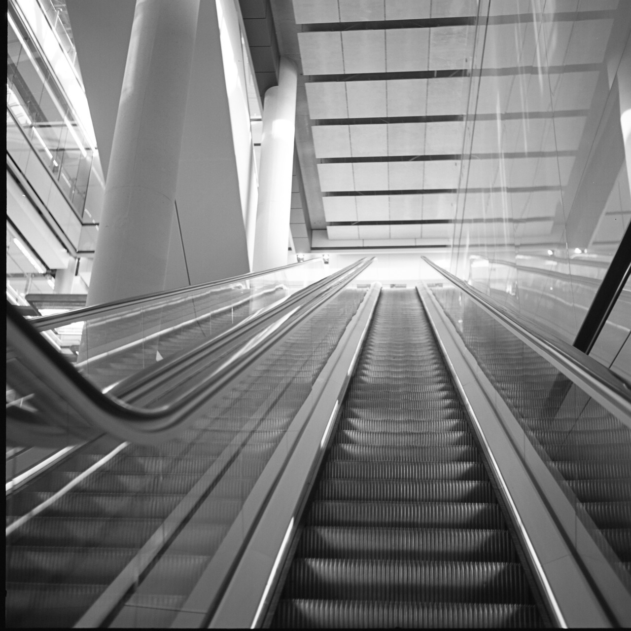 bagnostian:  terminal 5, heathrow airport. london, uk. (Rolleiflex) 