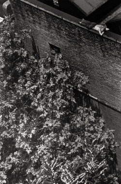 untitled photo by André Kertész; On Reading series, 1970