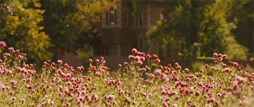 heliophobus:  Nanny McPhee, 2005 