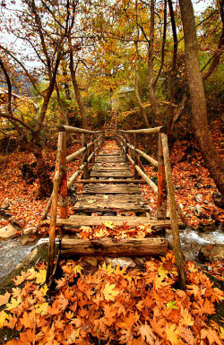 radicaltraditionalism:  Wooden bridge at the entrance of the remote village of Athamania, Trikala, Greece. 