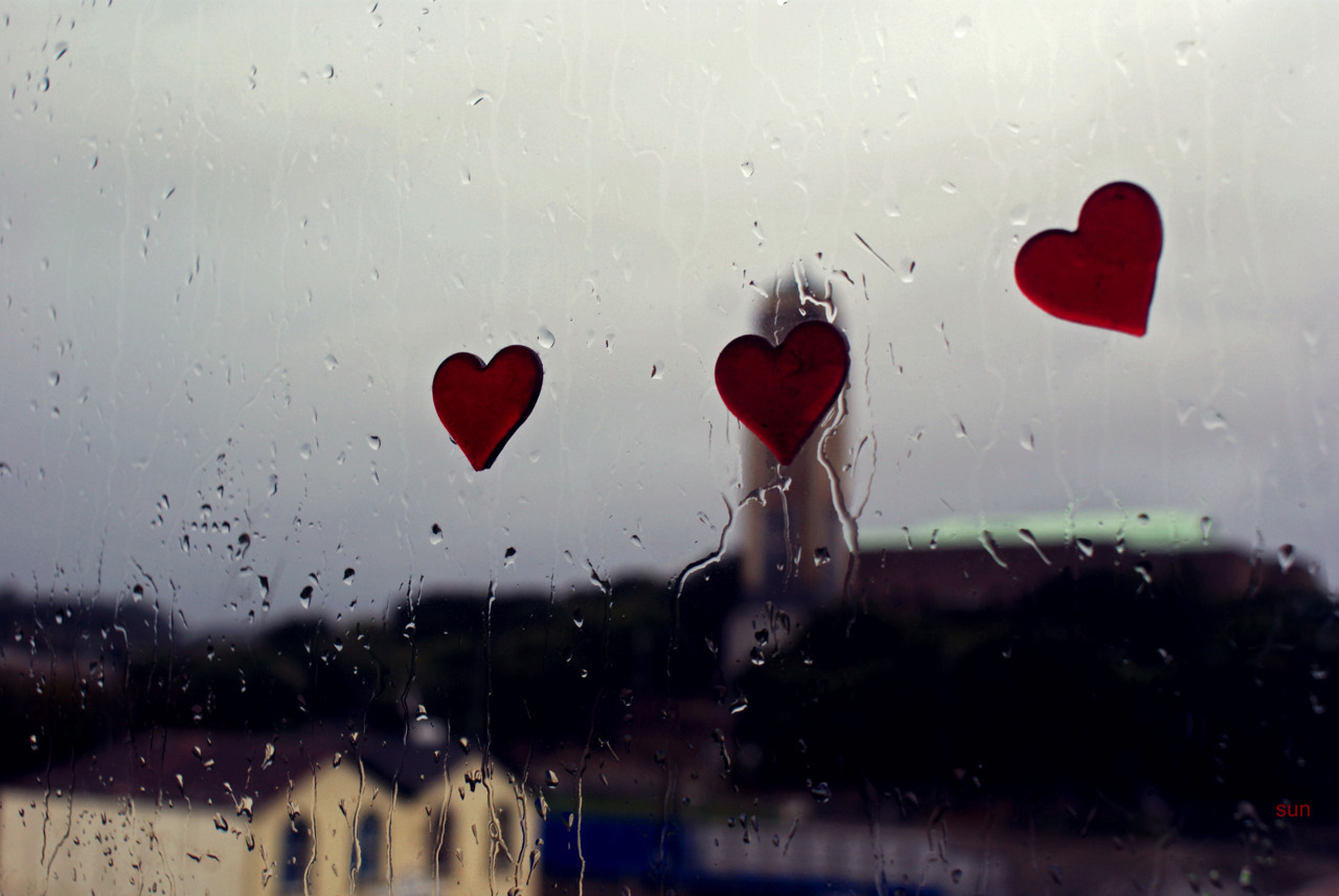 I took this a few days back :] I quite like it.