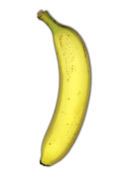 10knotes:  This is a banana. Reblog if you