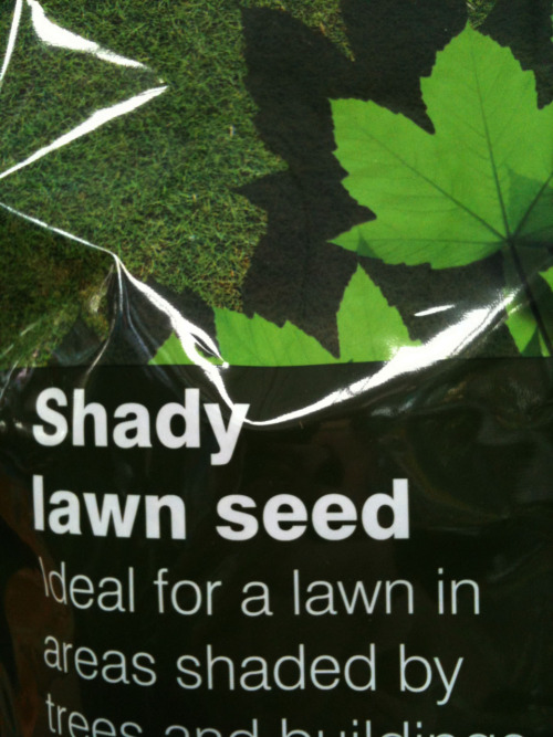 Shady Lawn Seed &hellip; I know what B&amp;Q are trying to get at here but I just can&rsquo;t but he